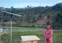 मुख्यमंत्री खेत संरक्षण योजना से खेतों में पहरेदारी करने से मिली राहत, पैदावार में भी हुई बढ़ोतरी