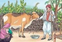 गाँव में एक किसान रहता था जो दूध से दही और मक्खन बनाकर बेचने का काम करता था..