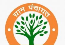 माजरा पंचायत में आ रही विभिन्न समस्याओं को लेकर जिला उपायुक्त से मिली माजरा ग्राम पंचायत प्रधान