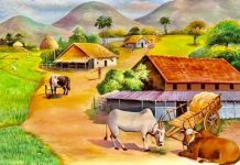 ग्राम पंचायत सैनवाला मुबारकपुर में आयोजित किया जाएगा विधिक साक्षरता शिविर