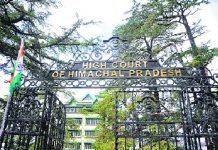 हाटी समुदाय को जनजातिय दर्जा देने अवज में उच्च न्यायालय ने केन्द्र व प्रदेश सरकार को किया नोटिस जारी