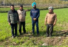 गाँव बहराल मे हाथियों के झुंड ने किसानो का किया नुकसान