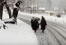 हिमाचल के कई भागों में पांच दिन बारिश-बर्फबारी, छह जिलों में धुंध ने बढ़ाई परेशानी