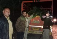 ददाहू पकड़ी फर्न से लदी पिकअप…35 हजार वसूला जुर्माना…