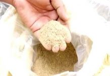 3.890 ग्राम चुरा पोस्त ( भुक्की) के साथ ट्रक चालक गिरफ्तार