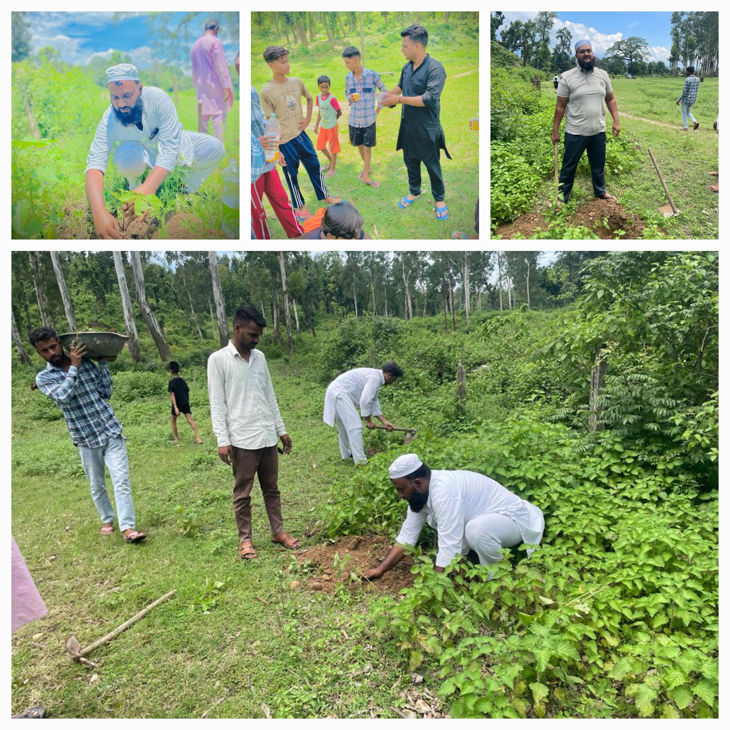 मेरा गांव मेरा देश हो हरा-भरा  मिश्रवाला पंचायत पूर्व बीडीसी सदस्य फरीद खान के नेतृत्व में 100 हर्बल पौधे लगाए गए