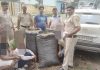 लग्जरी  कार से 54 किलोग्राम चुरापोस्त ( डोडे) बरामद, 4 गिरफ्तार