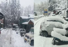 प्रदेश में बर्फबारी से जनजीवन प्रभावित
