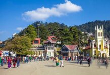 नए साल के जश्न पर पुलिस की जीरो टॉलरेंस नीति, हुड़दंग मचाने वालों-नशे में वाहन चलाने वालों पर होगी सख्ती