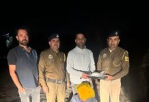 पांवटा साहिब: स्पेशल डिटेक्शन सेल की बड़ी कार्रवाई, 2.95 ग्राम स्मैक/हीरोइन बरामद—एक आरोपी गिरफ्तार