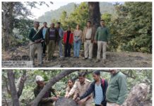 खारा जंगलों में वन विभाग की बड़ी कार्रवाई, अवैध शराब माफिया पर कसा शिकंजा