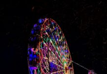 पांवटा साहिब होली मेले में 30 पालकी वाला बड़ा झूला बनेगा आकर्षण का केंद्र