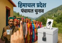 Himachal Panchayat Election: पंचायत चुनाव के लिए तैयारियां तेज, 31 मार्च को फाइनल होगा रोस्टर