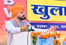 शिल्लाई में 282 पेड़ों का अवैध कटान – देवभूमि की प्रकृति से खिलवाड़ बर्दाश्त नहीं : अवि ठाकुर