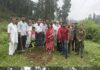 वन महोत्सव के तहत ब्लॉक कांग्रेस कमेटी नाहन ने किया पौधारोपण