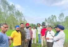 हाथियों ने किसानों की धान और हरे चारे की फसलें रौंदी, उचित मुआवजे की मांग